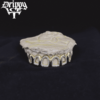 Open-Face Diamond Grillz